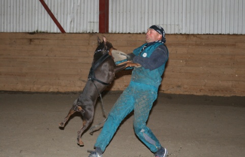 Training in Estonia 3/2007